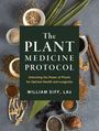 William Siff: The Plant Medicine Protocol, Buch