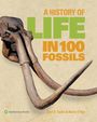 Paul D Taylor: A History of Life in 100 Fossils, Buch