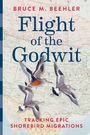 Bruce M Beehler: Flight of the Godwit, Buch