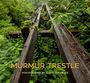 Jason Thrasher: Murmur Trestle, Buch