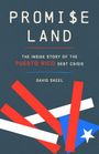 David Skeel: Promise Land, Buch