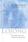 Traleg Kyabgon: The Practice of Lojong: Cultivating Compassion Through Training the Mind, Buch