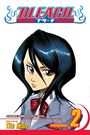Tite Kubo: Bleach, Vol. 2, Buch
