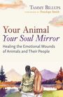 „Your Animal, Your Soul Mirror. Healing the Emotional Wounds of Animals and Their People“. Illustration: Frau mit Hund am See.