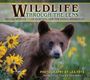 Scot Bealer: Wildlife Through the Lens, Buch