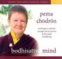 Pema Chodron: Bodhisattva Mind: Teachings to Cultivate Courage and Awareness in the Midst of Suffering, CD