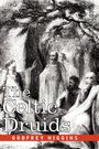 Godfrey Higgins: The Celtic Druids, Buch