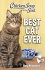 „BEST CAT EVER“ und „Amy Newmark“ stehen auf gelbem Hintergrund. Eine getigerte Katze sitzt neben einer zerbrochenen Vase.