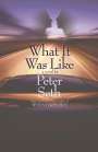 Peter Seth: What It Was Like, Buch