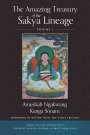 Ameshab Ngakwang Kunga Sonam: The Amazing Treasury of the Sakya Lineage, Buch