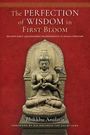 Bhikkhu Analayo: The Perfection of Wisdom in First Bloom, Buch