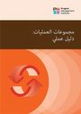 Pmi: Process Groups: A Practice Guide (Arabic), Buch