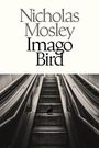 Nicholas Mosley, Imago Bird. Eine Taube sitzt auf Treppen zwischen zwei leeren Rolltreppen.