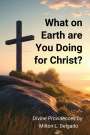 Milton L Delgado: What on Earth are you Doing for Christ?, Buch