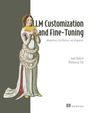 Titel "LLM Customization and Fine-Tuning". Unten rechts "Amit Bahree, Weehyong Tok". Illustration: Frau mit Panflöte.