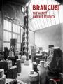Anne Umland: Brancusi, Buch