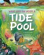 "What goes on inside a Tide Pool" - Eine Illustration mit einem Einsiedlerkrebs, Algen und Meerestieren.