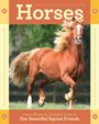 „Horses. Learn About the Amazing Lives of Our Beautiful Equine Friends.“ Ein galoppierendes braunes Pferd auf einer Wiese.