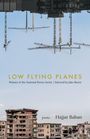 "LOW FLYING PLANES"; darunter "Winner of the National Poetry Series | Selected by Jake Skeets". Unten baufällige Gebäude.