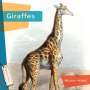 Nicole Helget: Giraffes, Buch