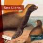 Melissa Gish: Sea Lions, Buch