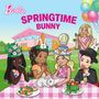 Molly Hodgin: Barbie: Springtime Bunny, Buch