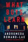Andromeda Romano-Lax: What Boys Learn, Buch