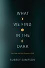 Aubrey Sampson: What We Find in the Dark, Buch