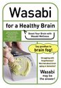 Isao Okunishi: Okunishi, I: Wasabi for a Healthy Brain, Buch
