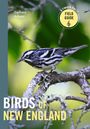 Zach Adams: Birds of New England, Buch