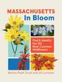 Uli Lorimer: Massachusetts in Bloom, Buch