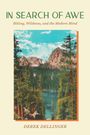 Cover von "In Search of Awe" von Derek Dellinger. Naturlandschaft mit Bergen, Wald und See in Illustration.