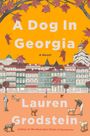 Lauren Grodstein: A Dog in Georgia, Buch