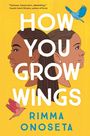 Rimma Onoseta: How You Grow Wings, Buch