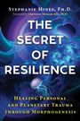 Stephanie Mines: The Secret of Resilience, Buch