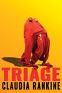 "Triage, Claudia Rankine." Zwei Personen in roten Hoodies lehnen sich rückwärts, der Hintergrund ist leuchtend gelb.