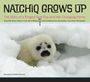 Donna D W Hauser: Natchiq Grows Up, Buch