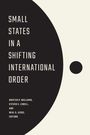 : Small States in a Shifting International Order, Buch