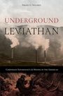 Israel G Solares: Underground Leviathan, Buch