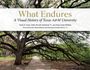 Emily R Amos: What Endures, Buch