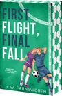 C W Farnsworth: First Flight, Final Fall, Buch