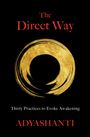 Adyashanti: The Direct Way, Buch