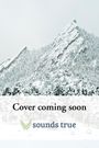 Andrew Holecek: The Lost Temple of Darkness, Buch