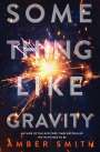 Amber Smith: Something Like Gravity, Buch