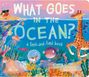 Dori Elys: What Goes in the Ocean?, Buch