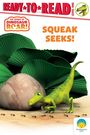 Peter Curtis: Squeak Seeks!, Buch