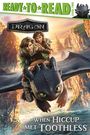 : When Hiccup Met Toothless, Buch