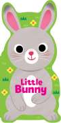 Maggie Fischer: Little Bunny, Buch