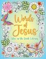 Editors of Thunder Bay Press: Words of Jesus Glow-In-The-Dark Coloring, Buch