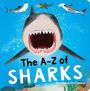 "The A-Z of SHARKS" in großen Buchstaben. Illustration eines Haifisches mit offenem Maul im Meer, umgeben von drei anderen Haien.